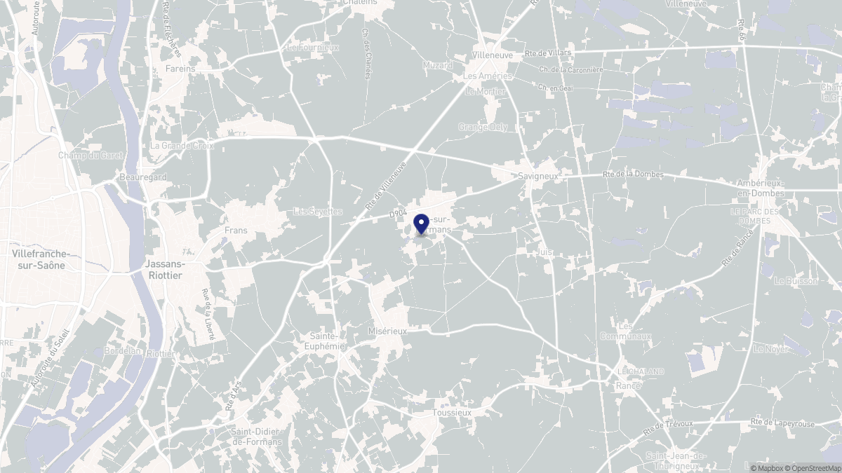 Aperçu cartographique de Ars-sur-Formans, centré sur la commune
