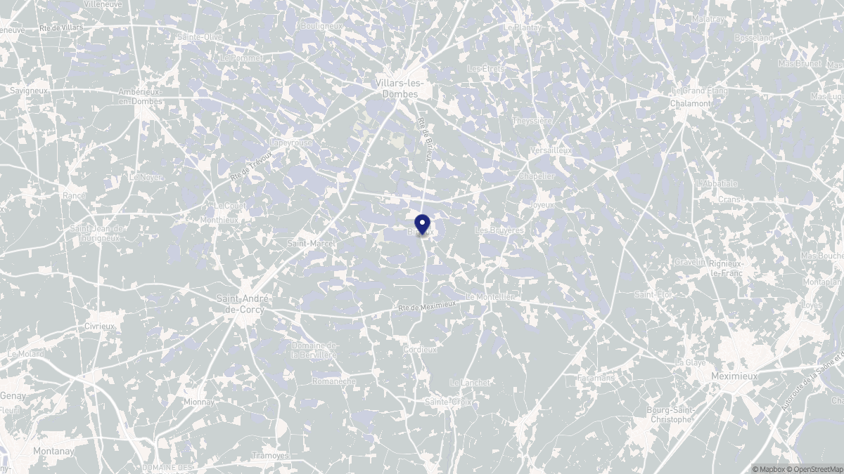 Aperçu cartographique de Birieux, centré sur la commune