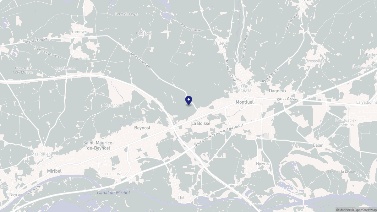 Aperçu cartographique de La Boisse, centré sur la commune