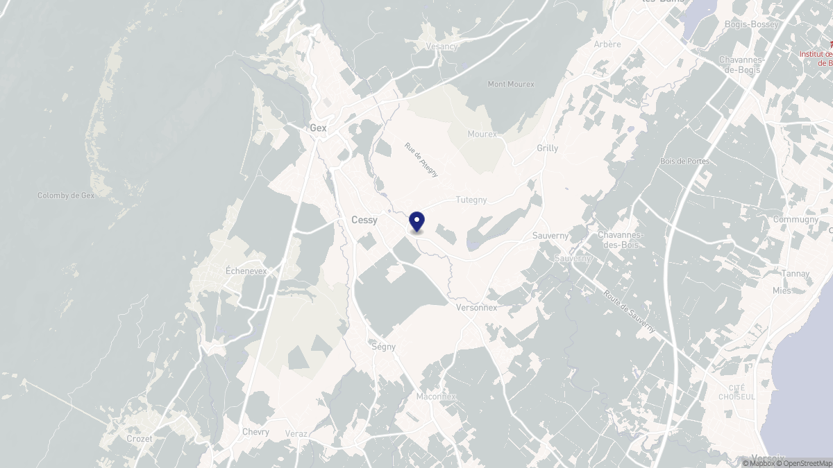 Aperçu cartographique de Cessy, centré sur la commune