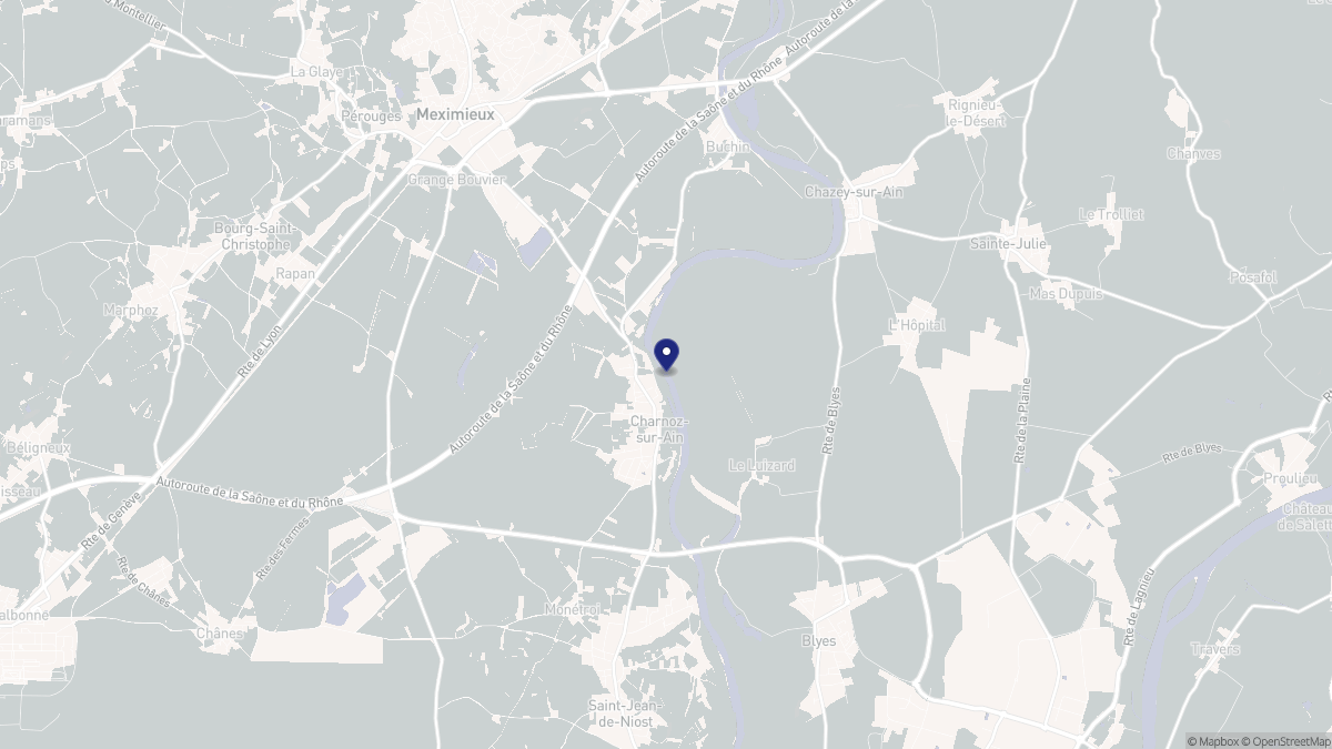 Aperçu cartographique de Charnoz-sur-Ain, centré sur la commune