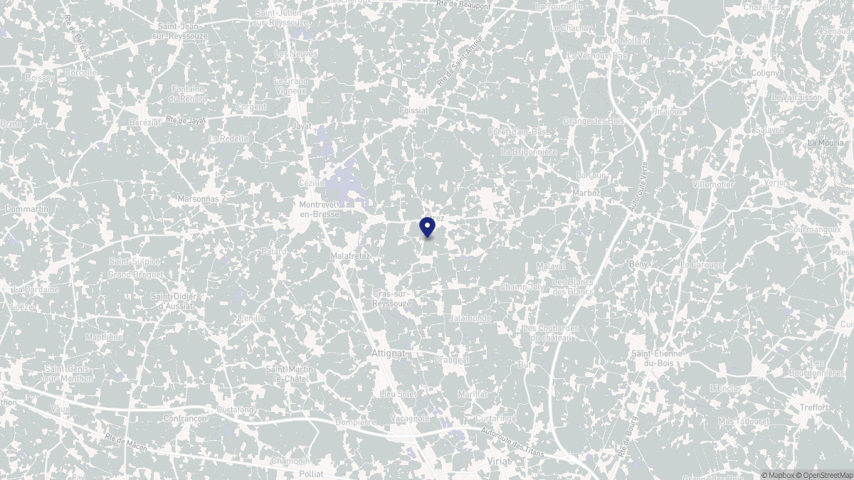Aperçu cartographique de Bresse Vallons, centré sur la commune