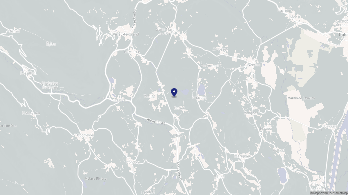 Aperçu cartographique de Cuzieu, centré sur la commune