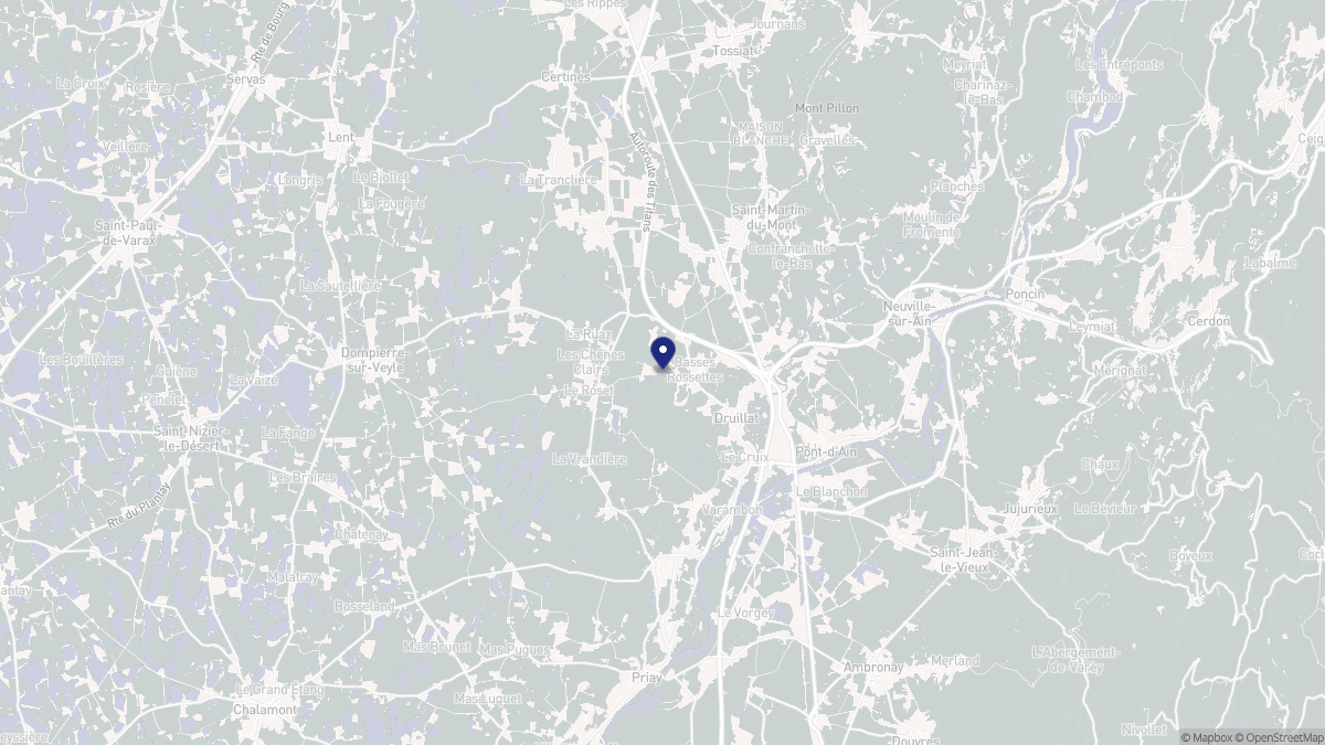 Aperçu cartographique de Druillat, centré sur la commune