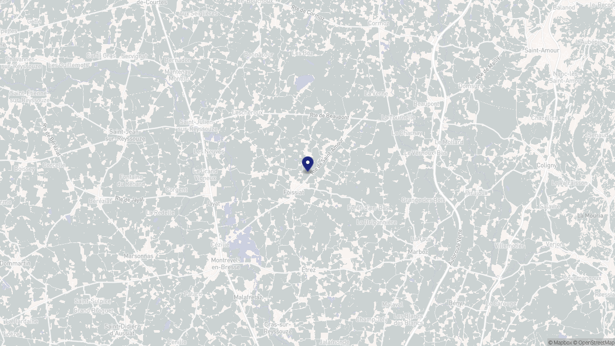 Aperçu cartographique de Foissiat, centré sur la commune