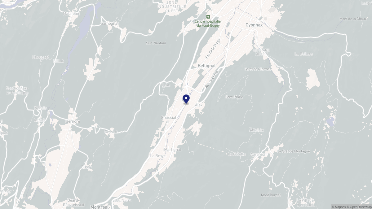 Aperçu cartographique de Groissiat, centré sur la commune
