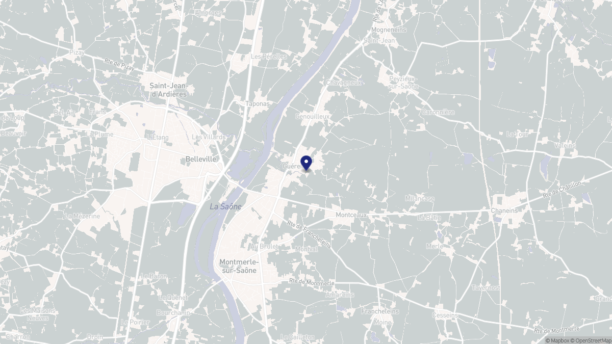 Aperçu cartographique de Guéreins, centré sur la commune