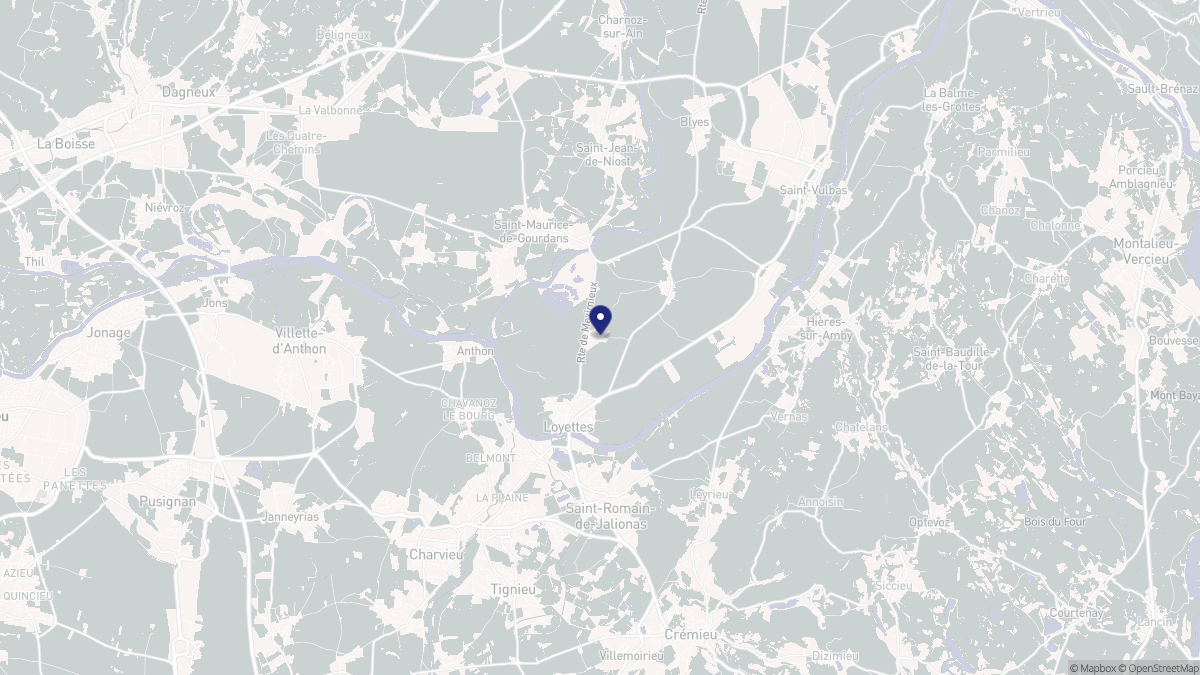 Aperçu cartographique de Loyettes, centré sur la commune
