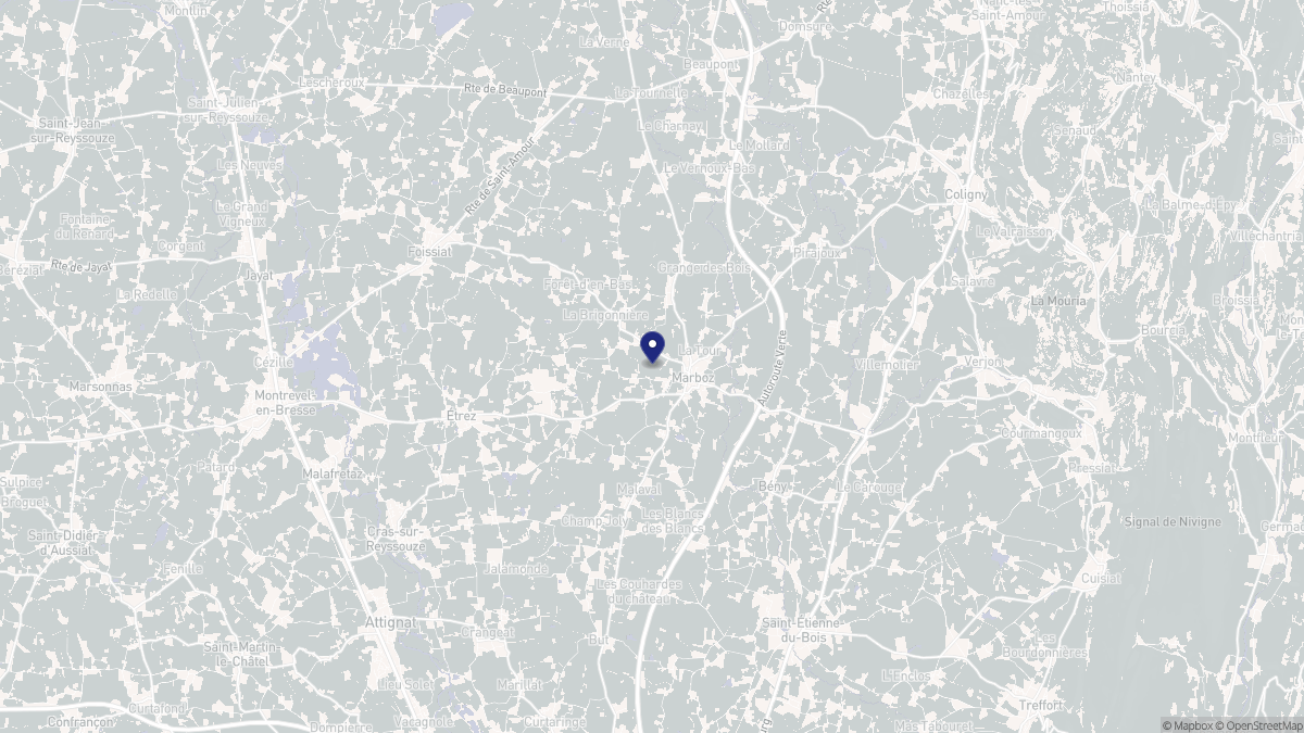 Aperçu cartographique de Marboz, centré sur la commune