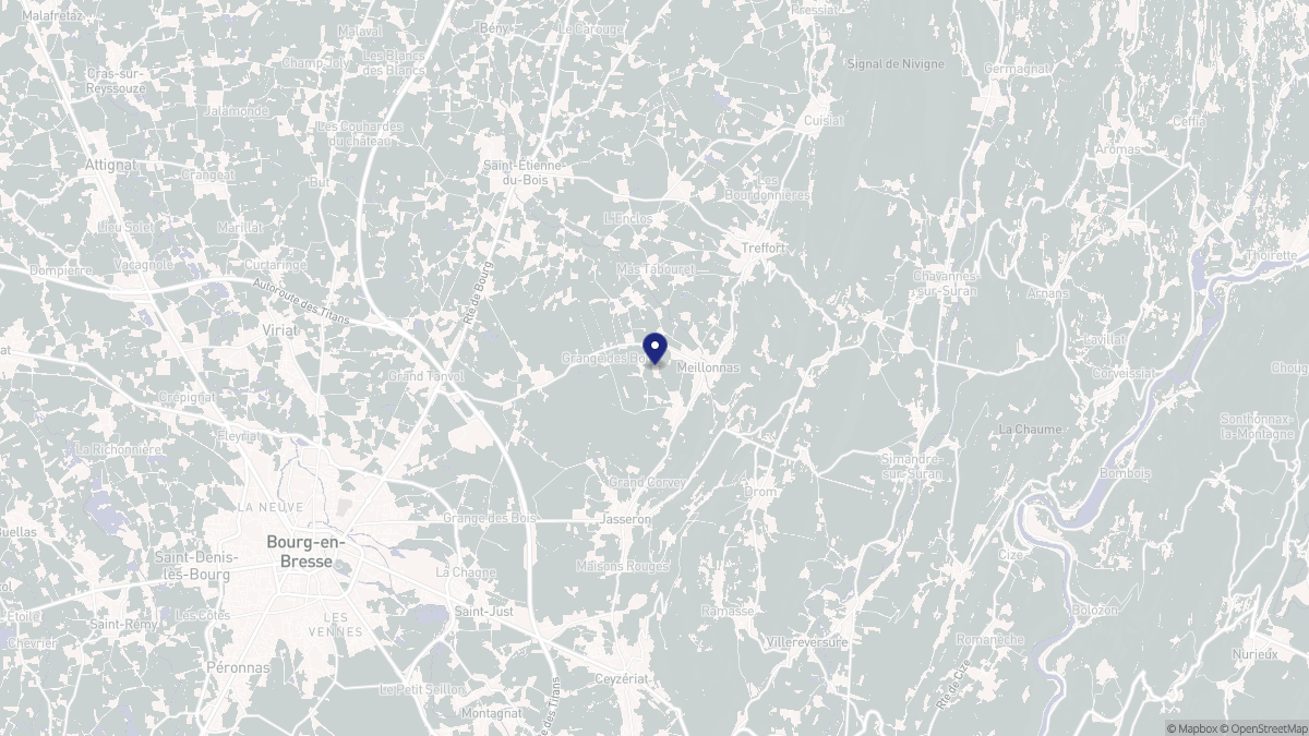 Aperçu cartographique de Meillonnas, centré sur la commune