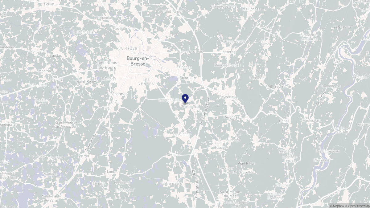 Aperçu cartographique de Montagnat, centré sur la commune