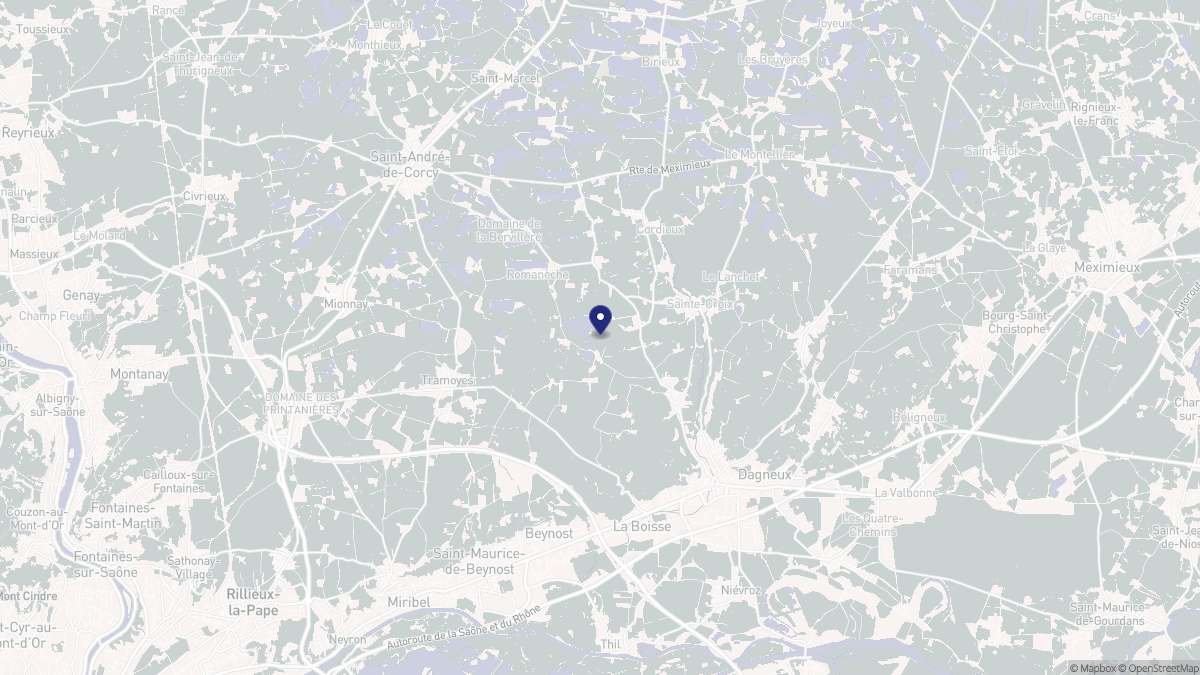 Aperçu cartographique de Montluel, centré sur la commune