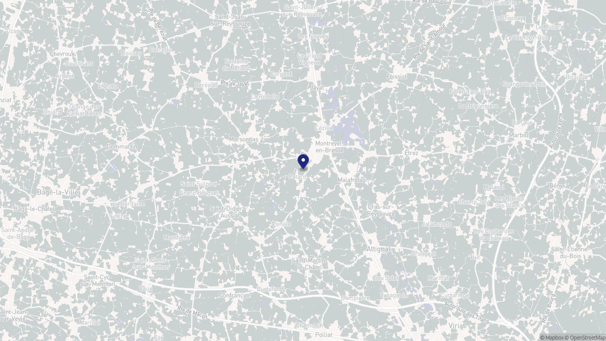 Aperçu cartographique de Montrevel-en-Bresse, centré sur la commune