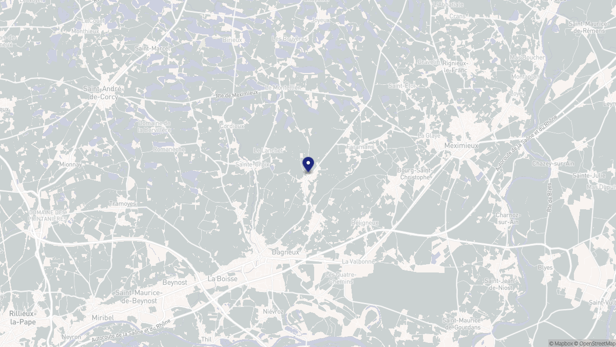 Aperçu cartographique de Pizay, centré sur la commune