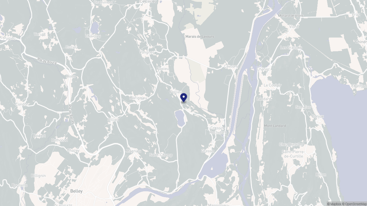 Aperçu cartographique de Pollieu, centré sur la commune