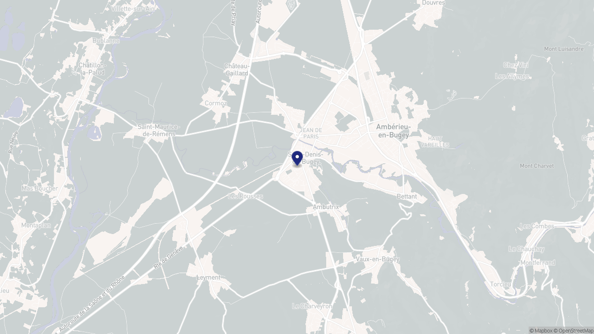 Aperçu cartographique de Saint-Denis-en-Bugey, centré sur la commune