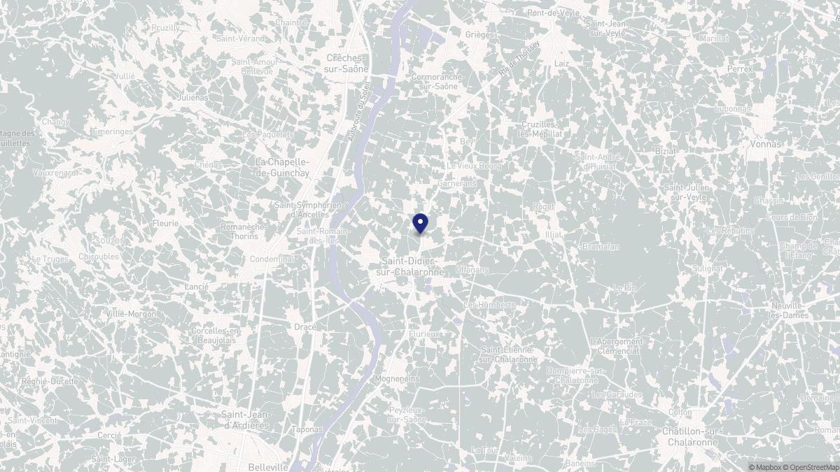 Aperçu cartographique de Saint-Didier-sur-Chalaronne, centré sur la commune