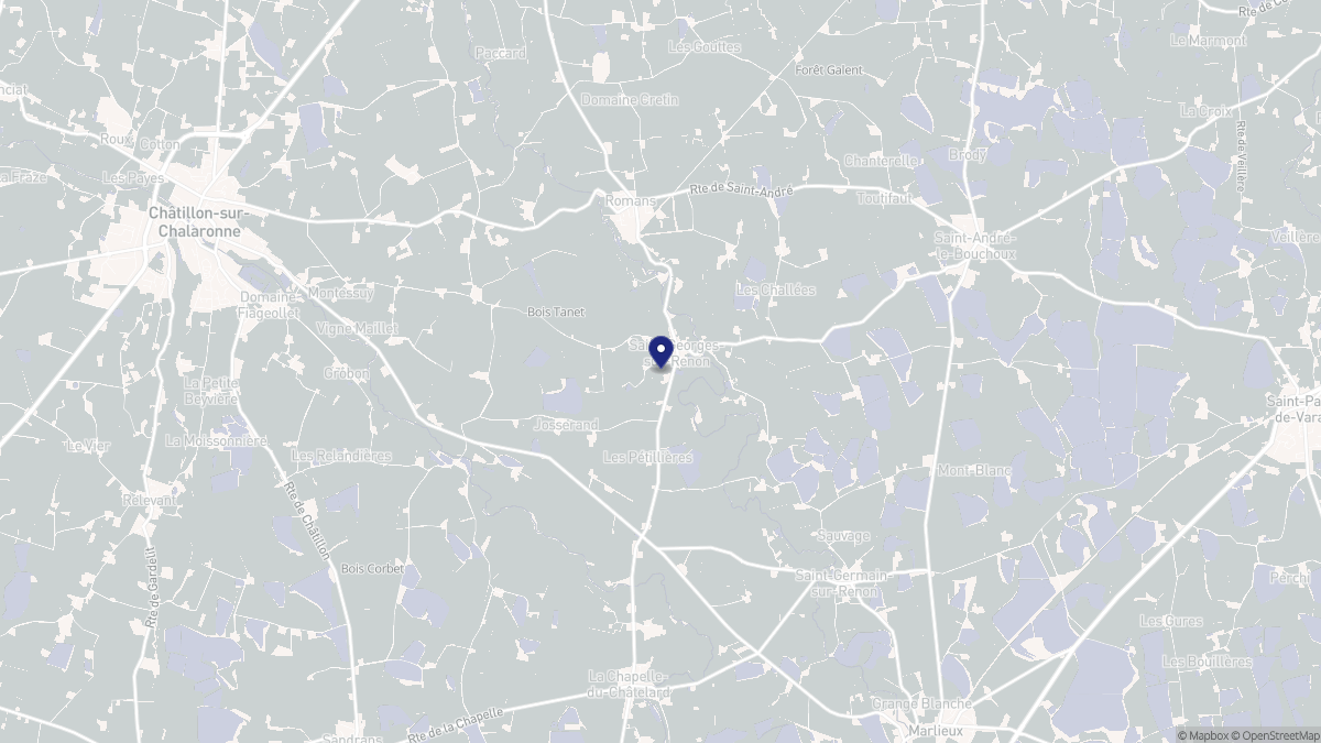 Aperçu cartographique de Saint-Georges-sur-Renon, centré sur la commune