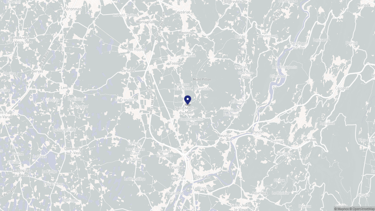 Aperçu cartographique de Saint-Martin-du-Mont, centré sur la commune