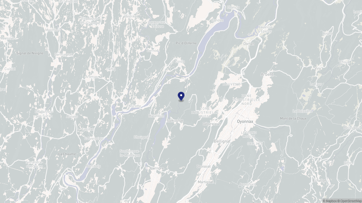 Aperçu cartographique de Samognat, centré sur la commune