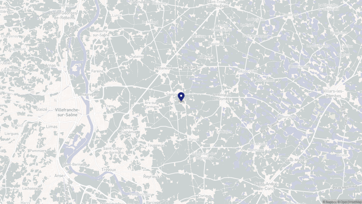 Aperçu cartographique de Savigneux, centré sur la commune