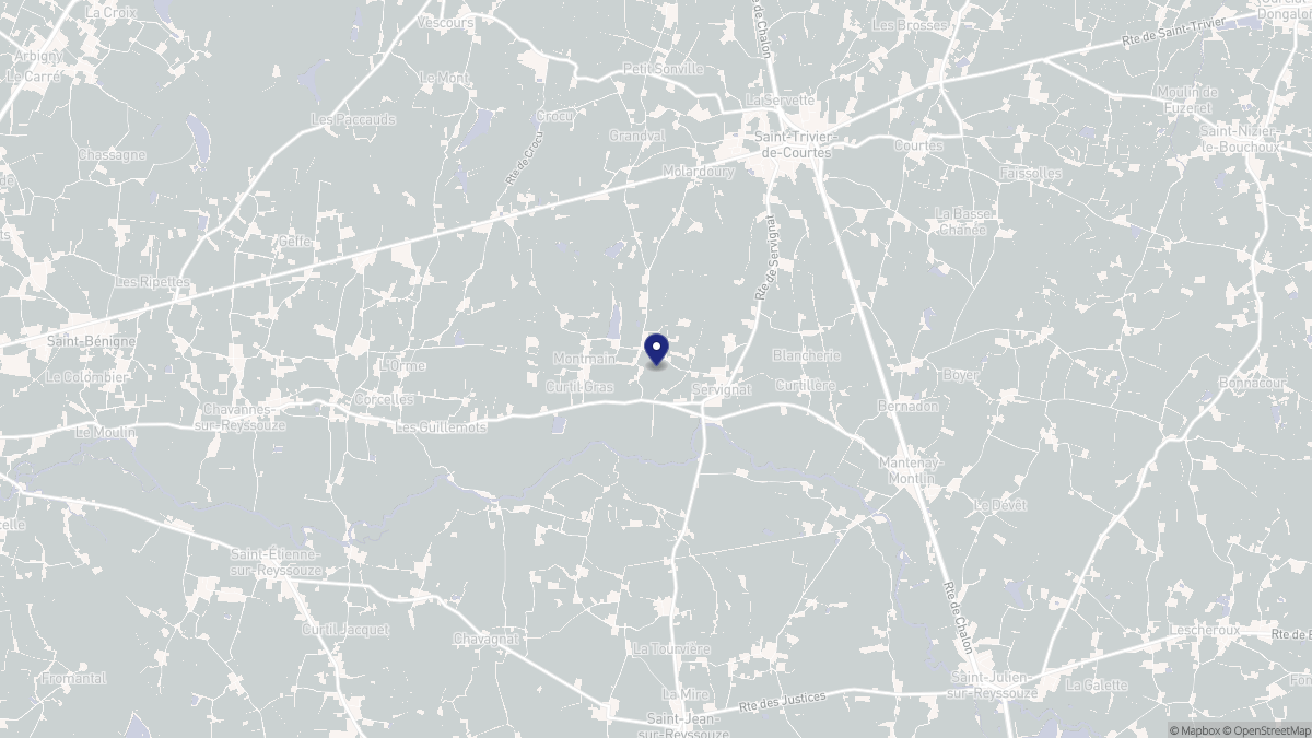 Aperçu cartographique de Servignat, centré sur la commune