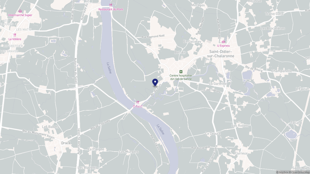 Aperçu cartographique de Thoissey, centré sur la commune