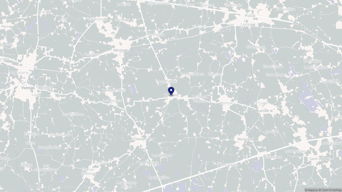 Aperçu cartographique de Vandeins, centré sur la commune
