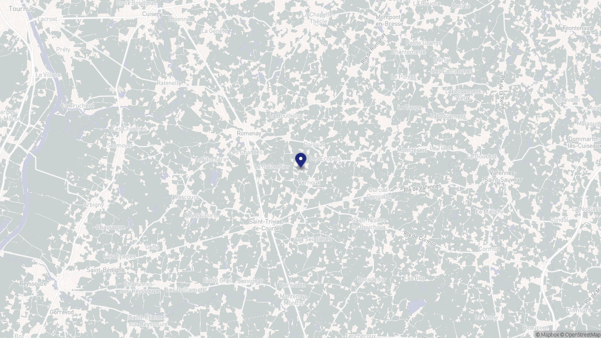 Aperçu cartographique de Vernoux, centré sur la commune
