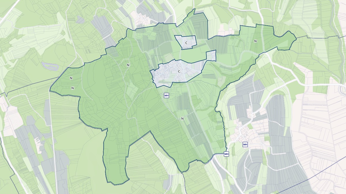 Aperçu cartographique de Vongnes, centré sur la commune
