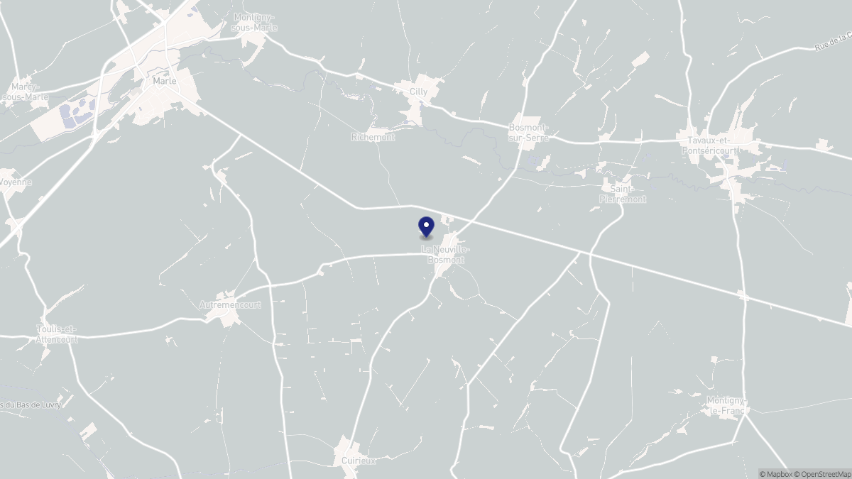 Aperçu cartographique de La Neuville-Bosmont, centré sur la commune