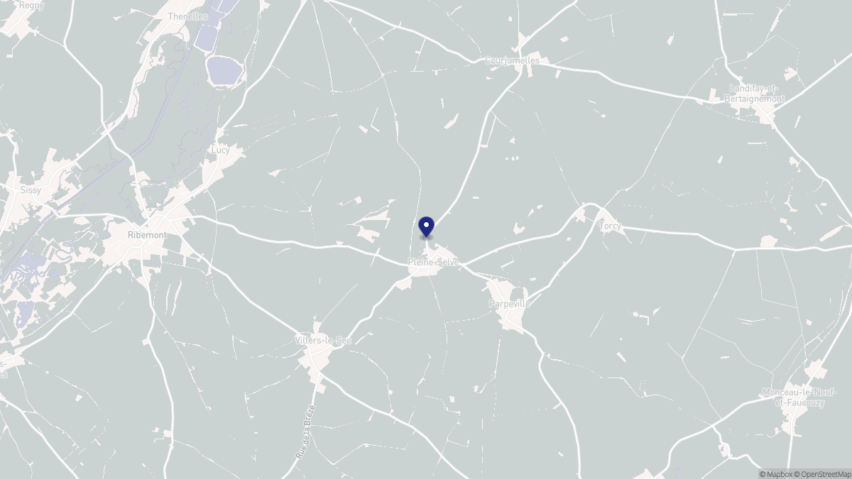 Aperçu cartographique de Pleine-Selve, centré sur la commune