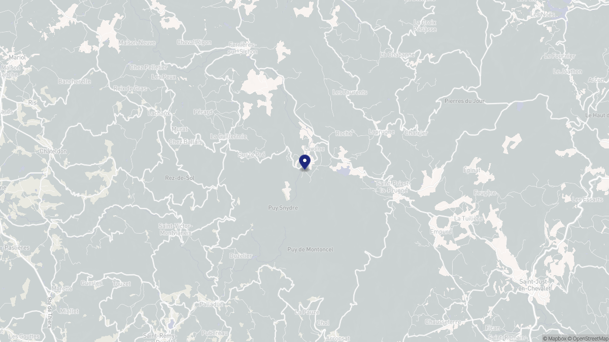 Aperçu cartographique de Lavoine, centré sur la commune