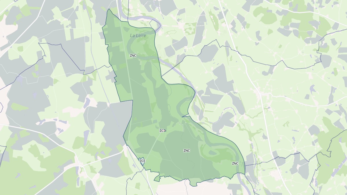 Aperçu cartographique de Saint-Martin-des-Lais, centré sur la commune