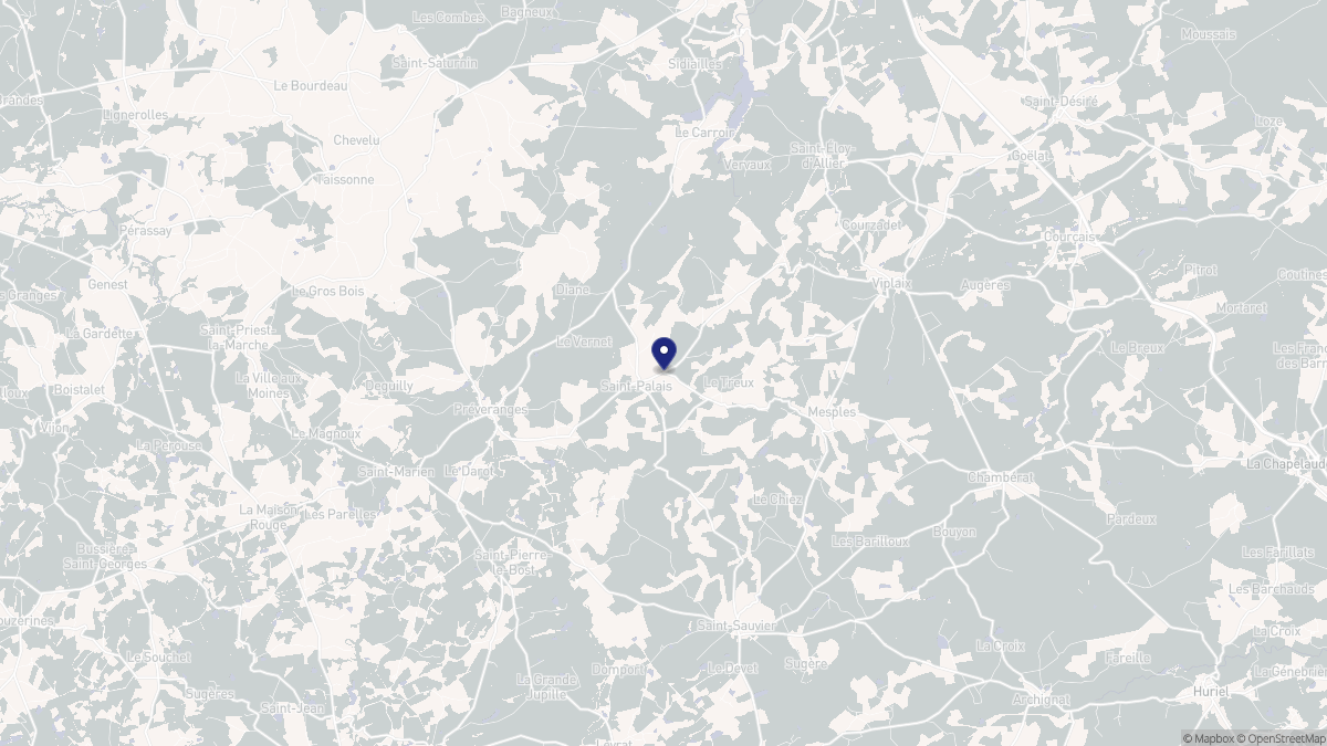 Aperçu cartographique de Saint-Palais, centré sur la commune