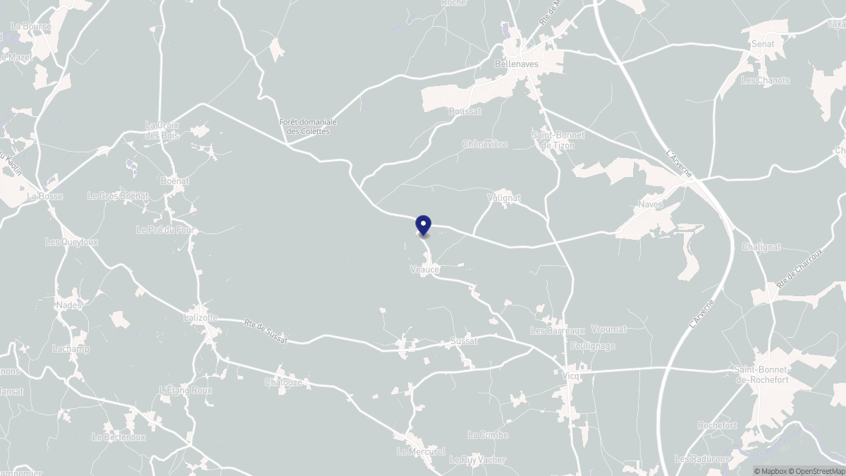 Aperçu cartographique de Veauce, centré sur la commune