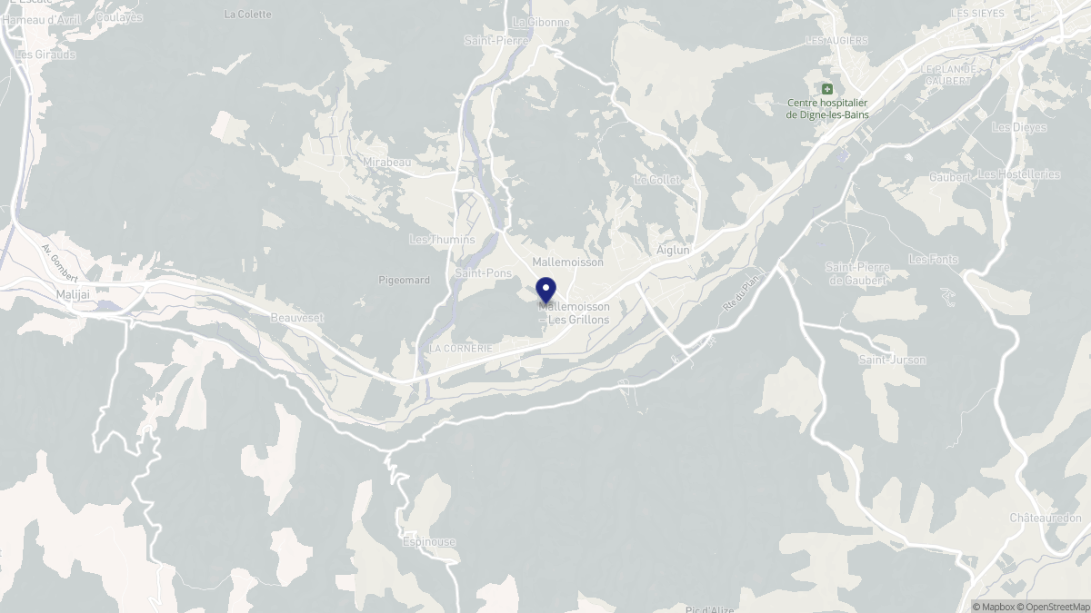 Aperçu cartographique de Mallemoisson, centré sur la commune
