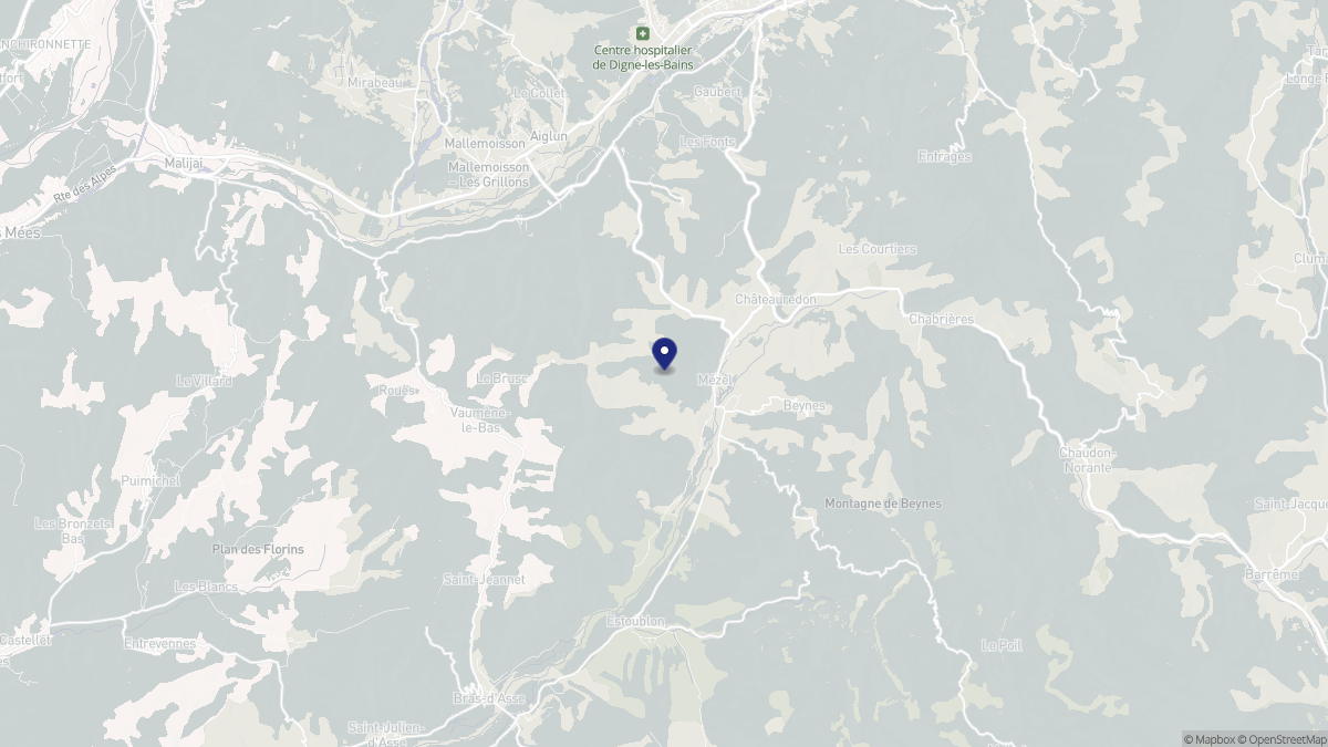 Aperçu cartographique de Mézel, centré sur la commune