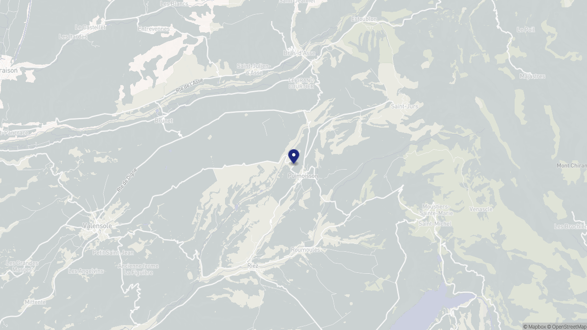 Aperçu cartographique de Puimoisson, centré sur la commune