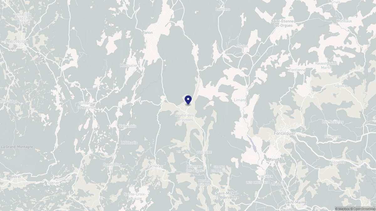 Aperçu cartographique de Revest-des-Brousses, centré sur la commune
