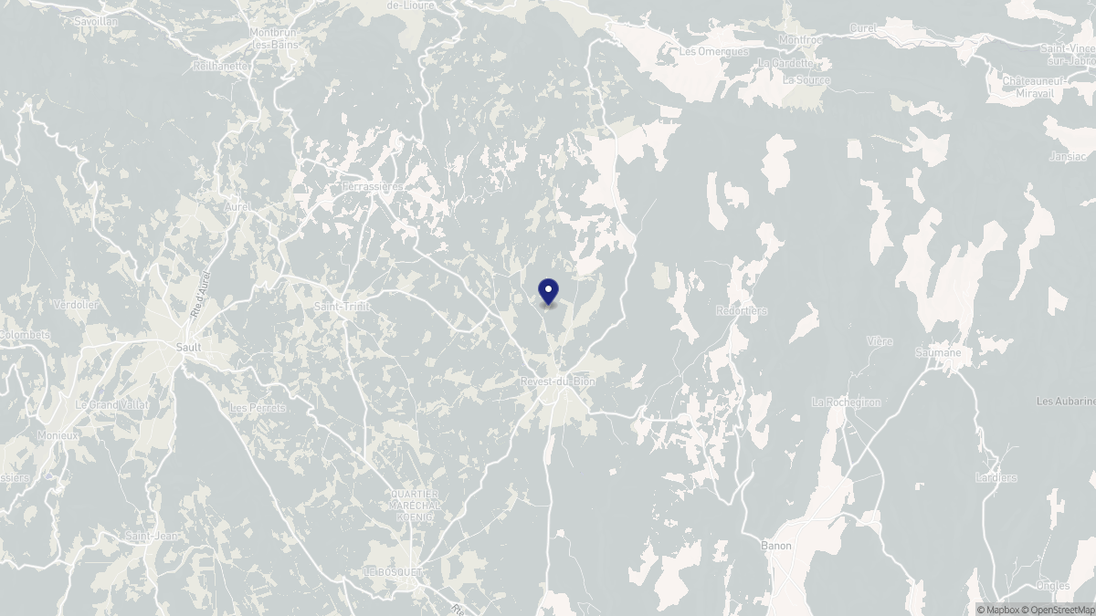 Aperçu cartographique de Revest-du-Bion, centré sur la commune