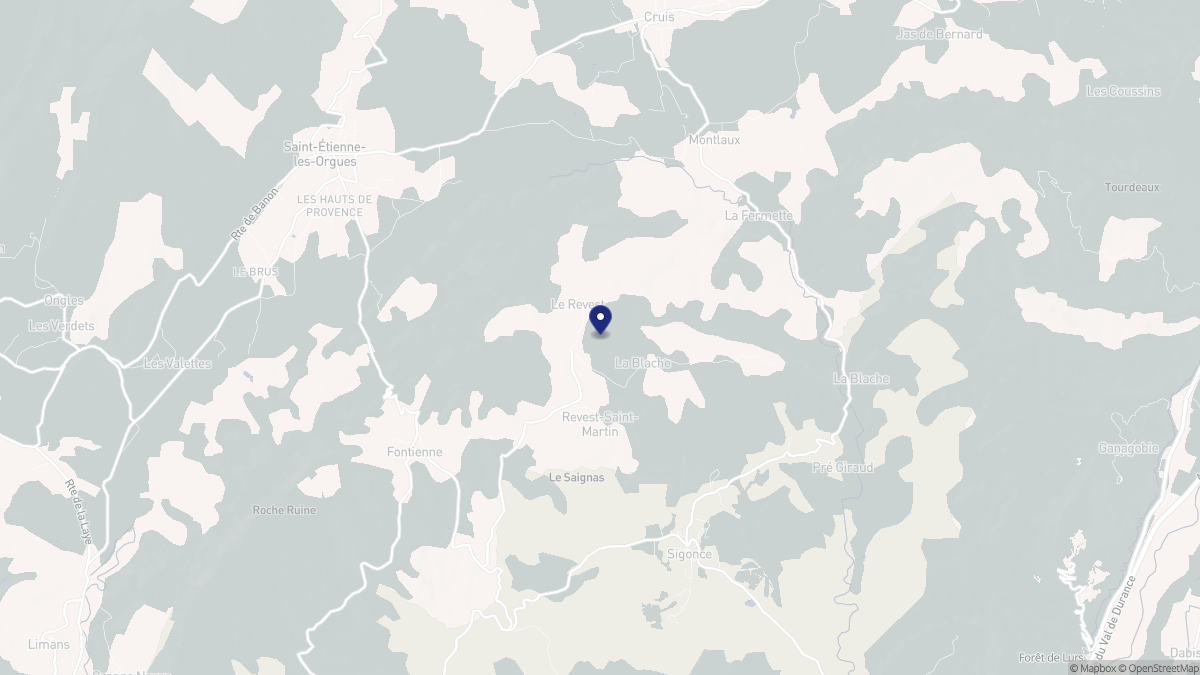 Aperçu cartographique de Revest-Saint-Martin, centré sur la commune