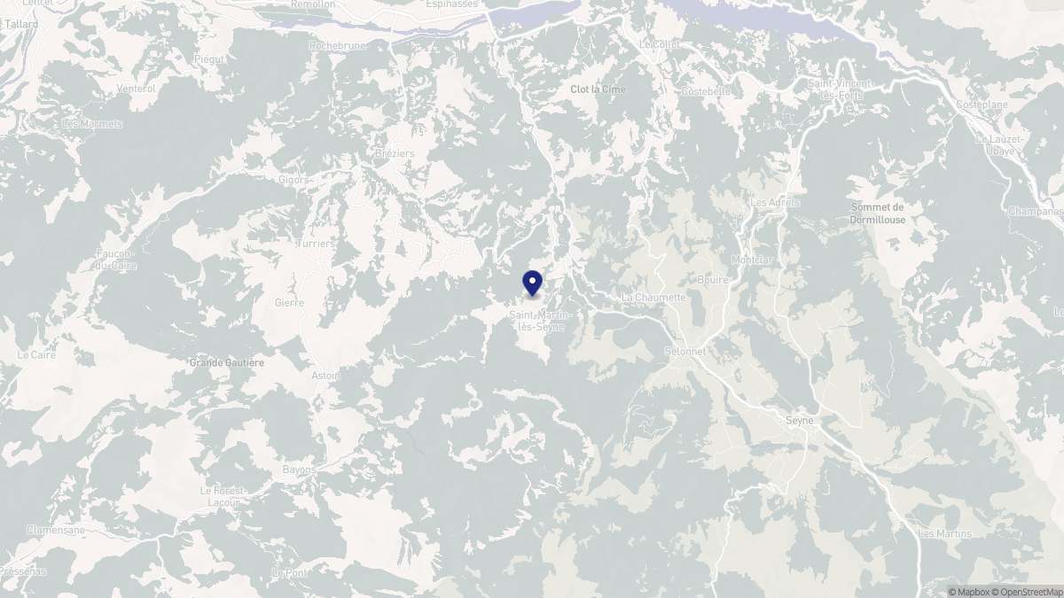 Aperçu cartographique de Saint-Martin-lès-Seyne, centré sur la commune