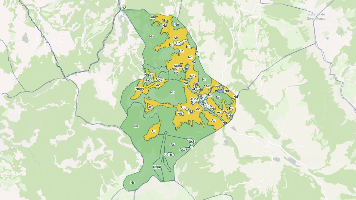 Aperçu cartographique de Selonnet, centré sur la commune