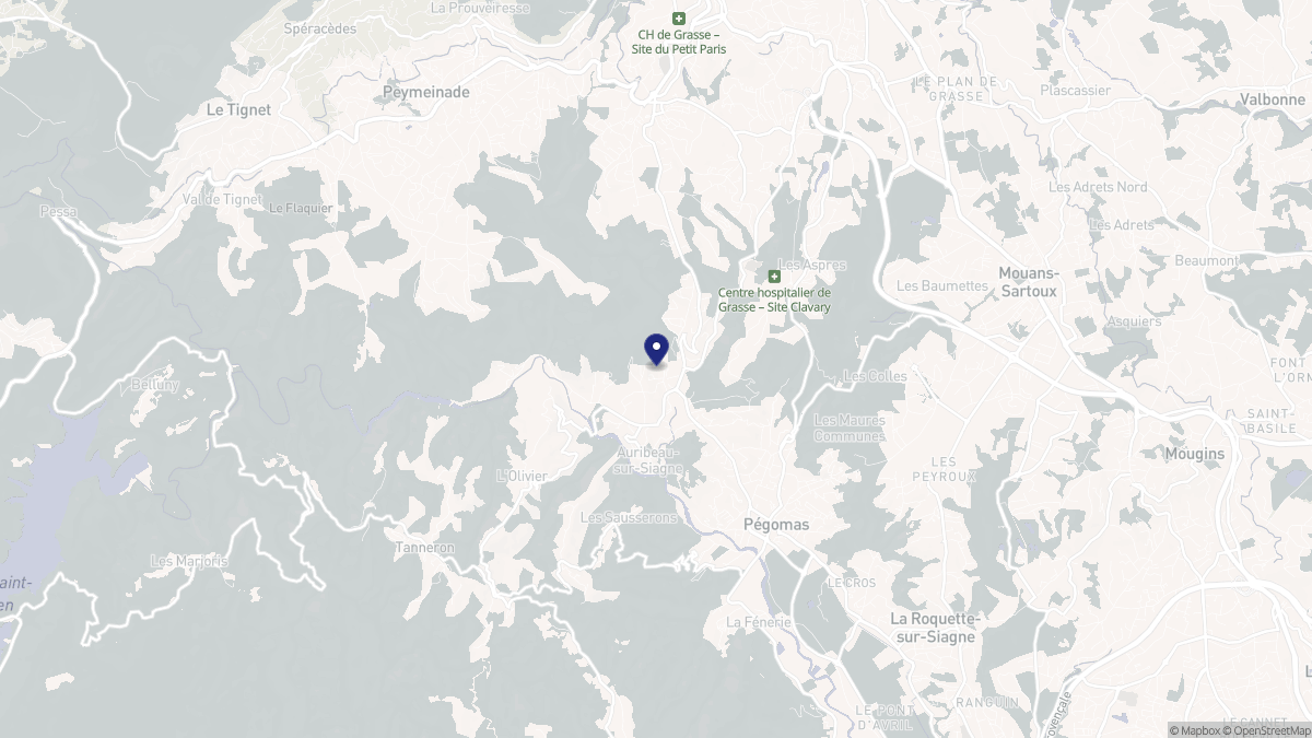 Aperçu cartographique de Auribeau-sur-Siagne, centré sur la commune
