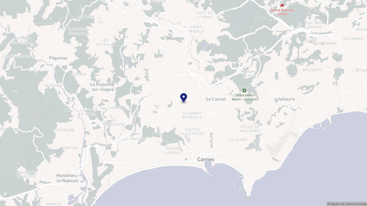 Aperçu cartographique de Le Cannet, centré sur la commune