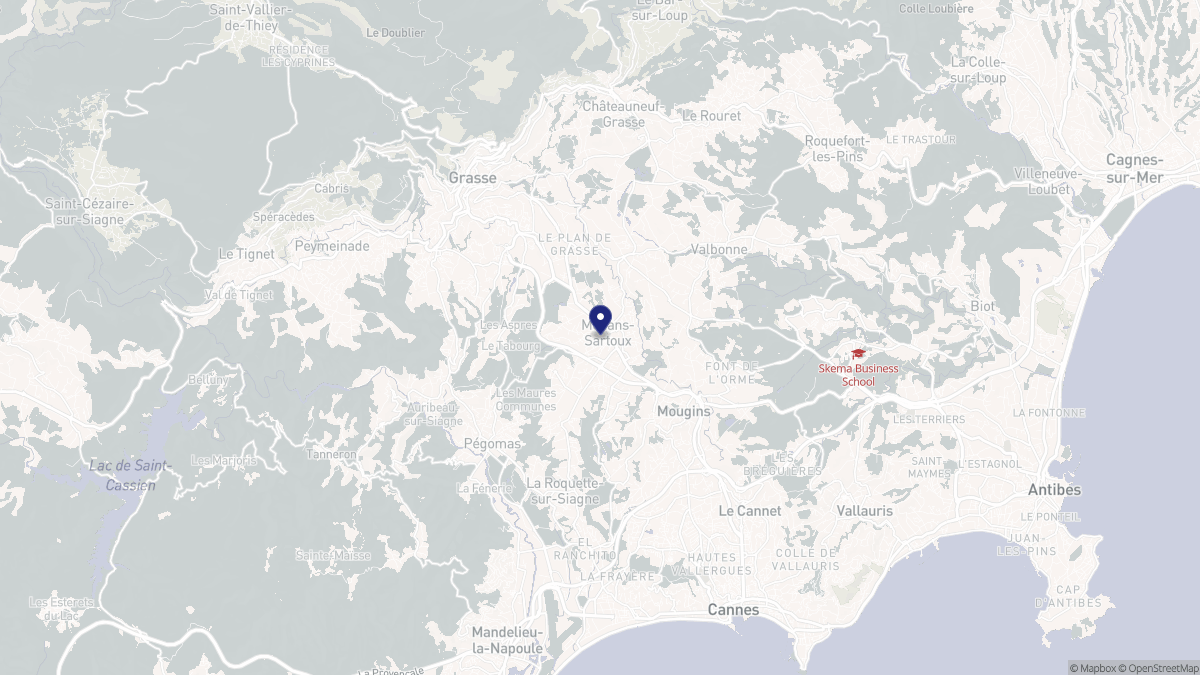 Aperçu cartographique de Mouans-Sartoux, centré sur la commune