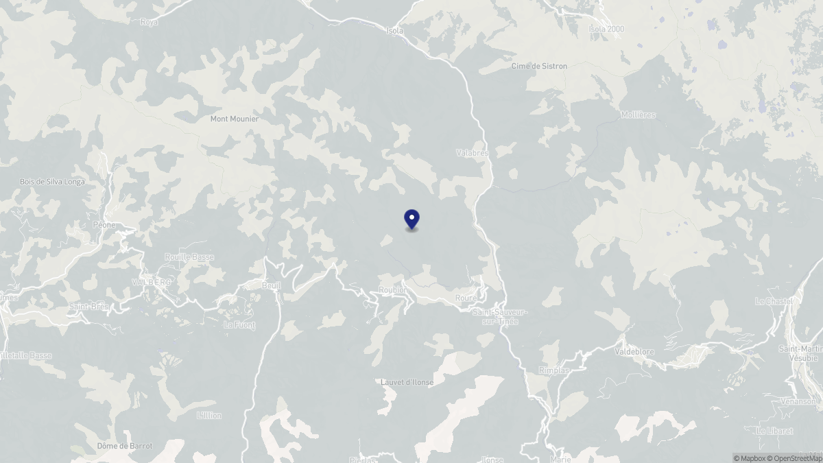 Aperçu cartographique de Roure, centré sur la commune
