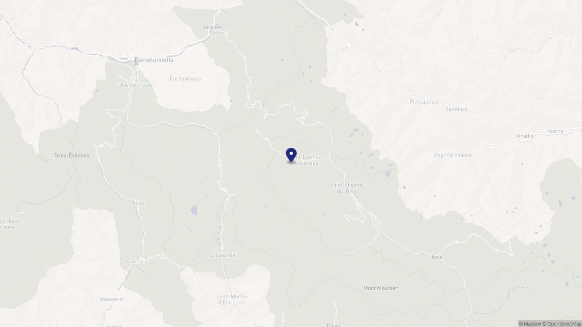 Aperçu cartographique de Saint-Dalmas-le-Selvage, centré sur la commune