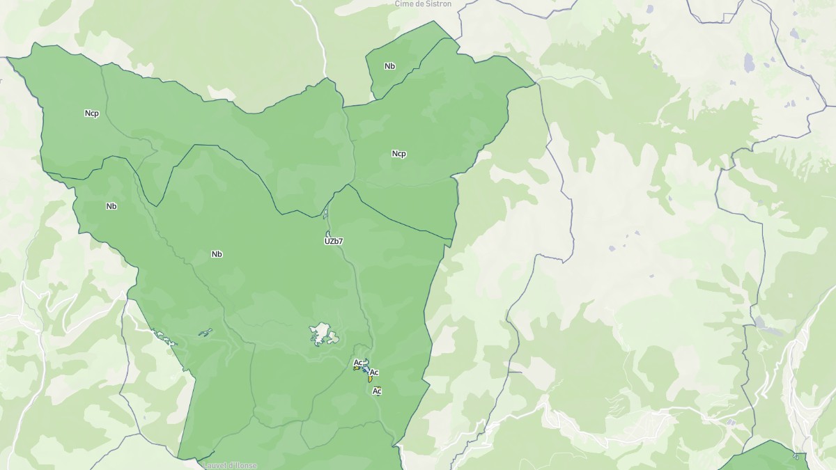 Aperçu cartographique de Saint-Sauveur-sur-Tinée, centré sur la commune